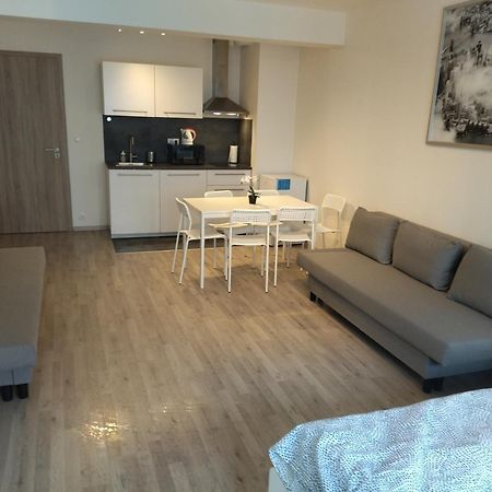 Brand New Studio Apartment #24 In Elite Residence With Free Secure Parking In The Center Praha Exteriér fotografie